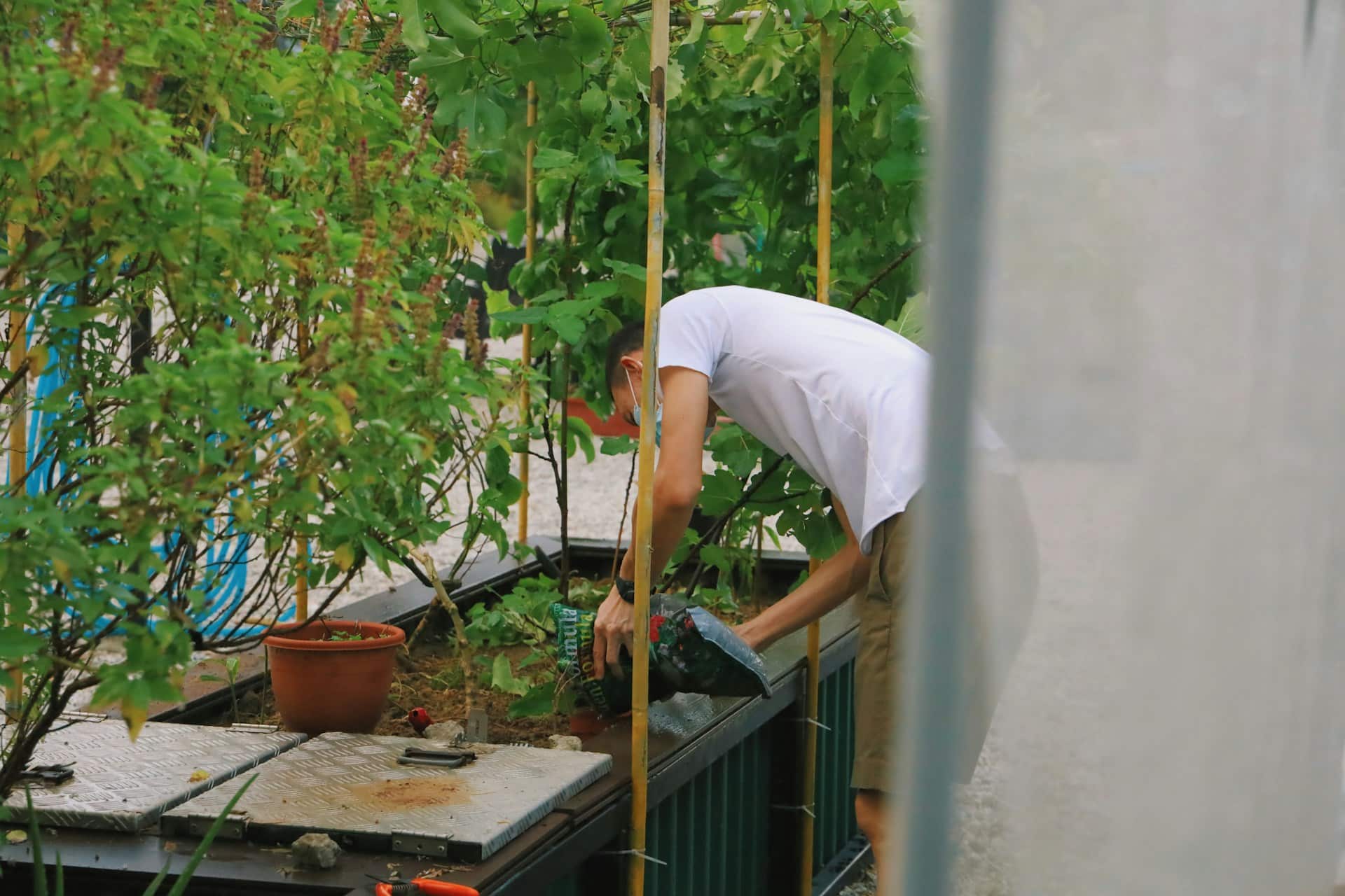Entretien du jardin : nos conseils pratiques